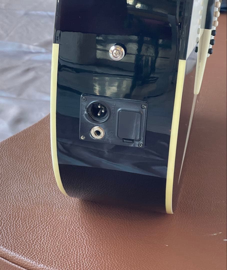 Dean Michael Schenker Exotica エレアコ