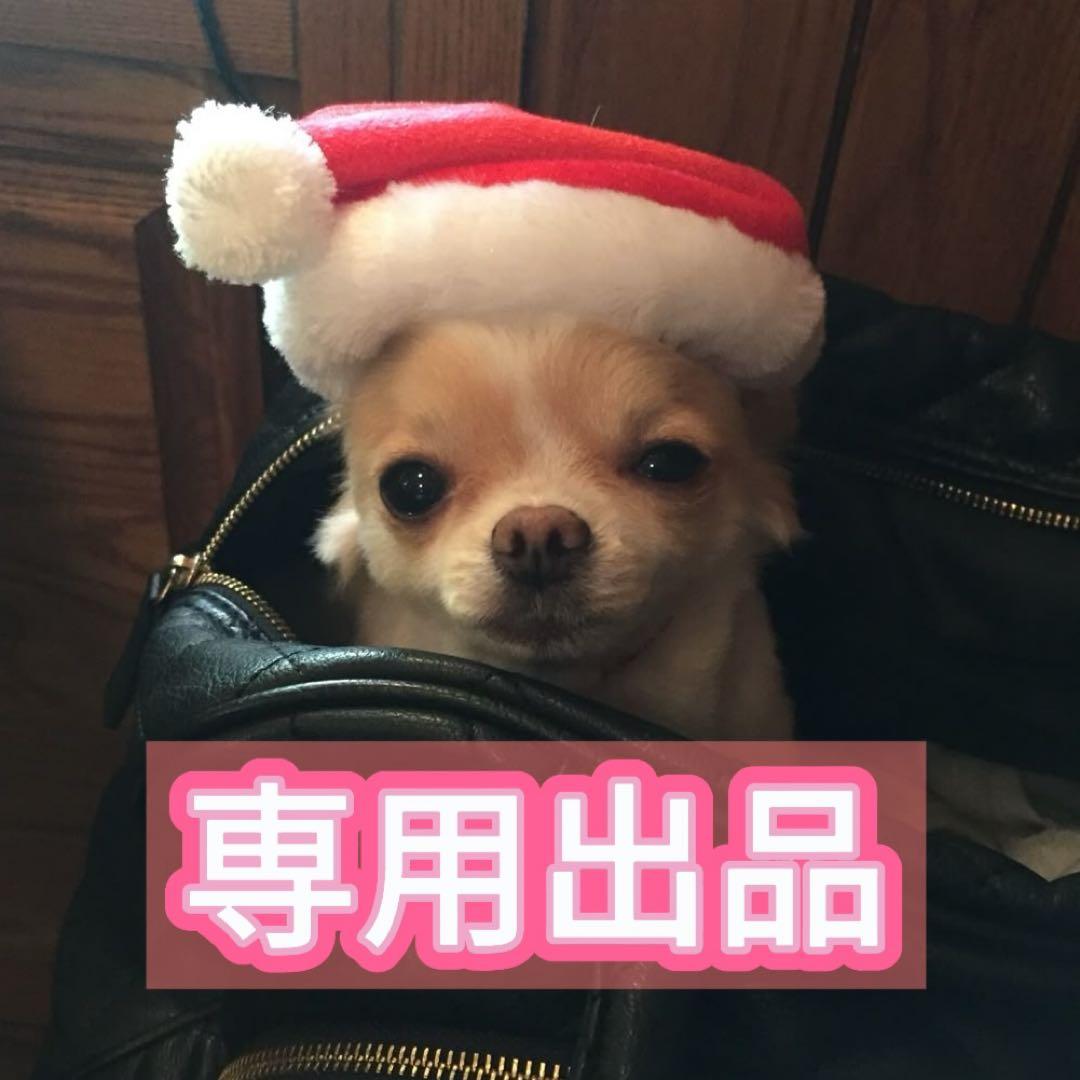 ma【プロフィール必読】