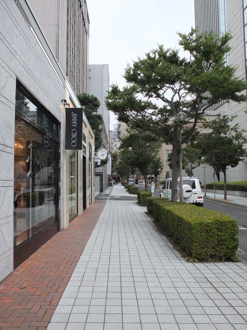 【難あり】FUJIFILM X10 デジタルカメラ