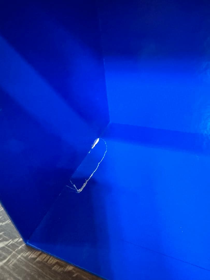 ひかるん　ディズニー英語システム　シングアロング　CD DVD テキスト