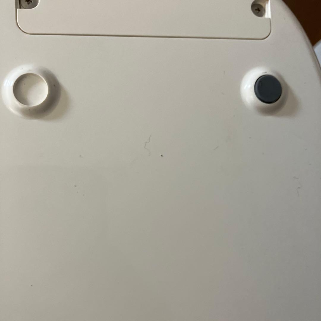 美品！saqina pino スチーマー・テスラ・クリーナー