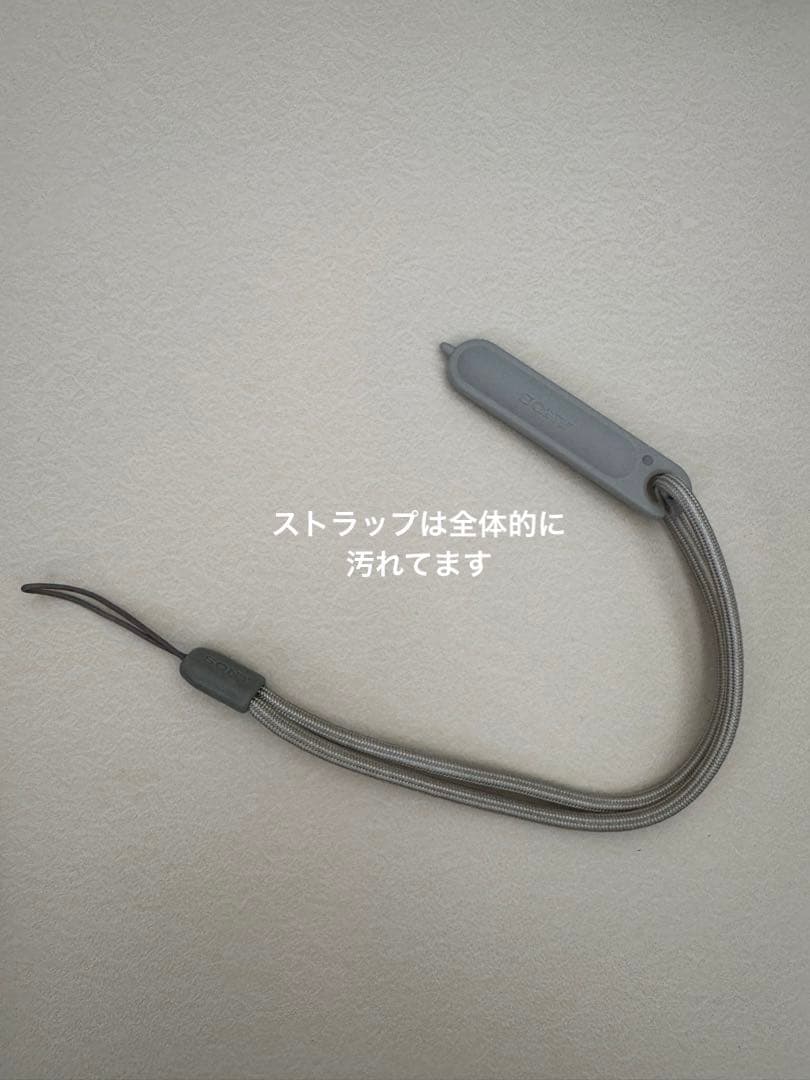 SONY Cyber-shot DSC-TX1 その他付属品