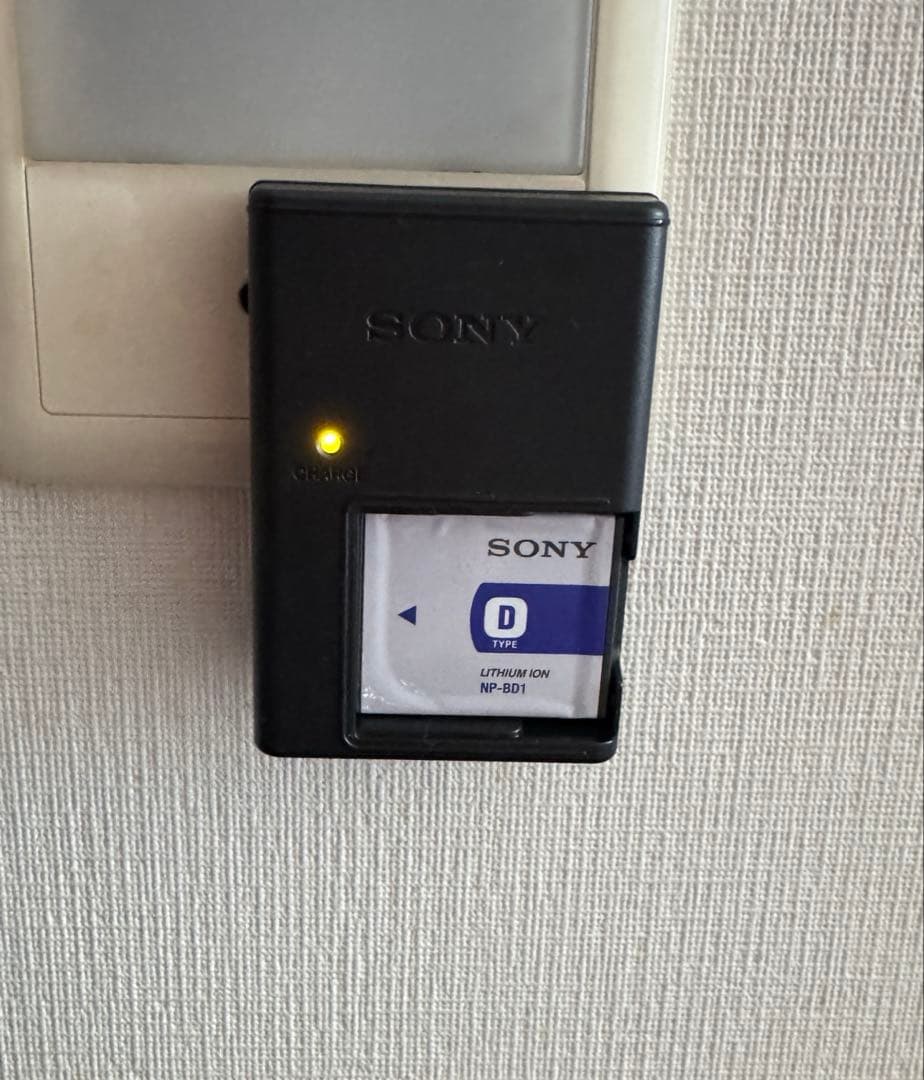 SONY Cyber-shot DSC-TX1 その他付属品