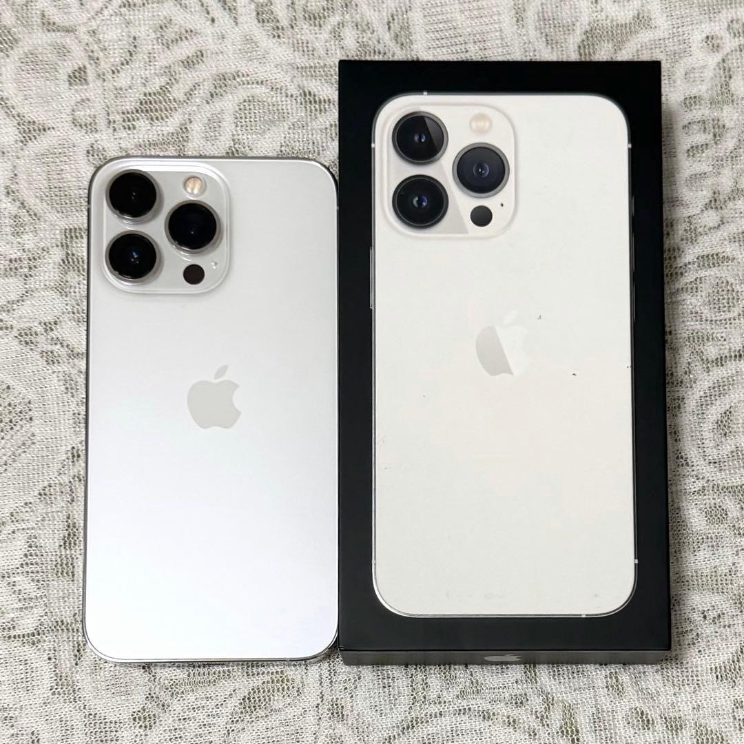 Feri出品Apple iPhone 13 Pro Silver512GB