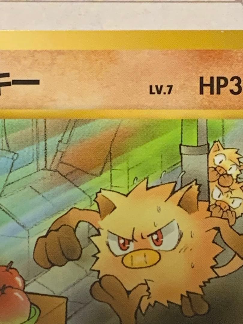 旧裏 マンキー ポケモンカードになったワケ 当時物 レトロ