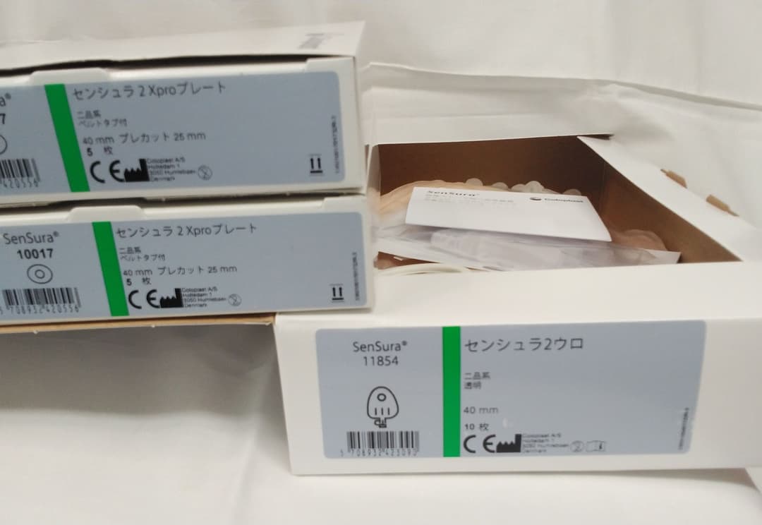 みかん　…①センシュラ２ウロ…１箱（10枚入）・プレート２箱（10枚）