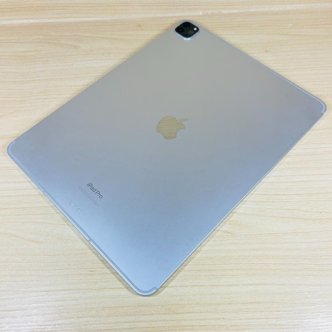 P209 超美品 iPad Pro 第6世代 12.9 256GB セルラー