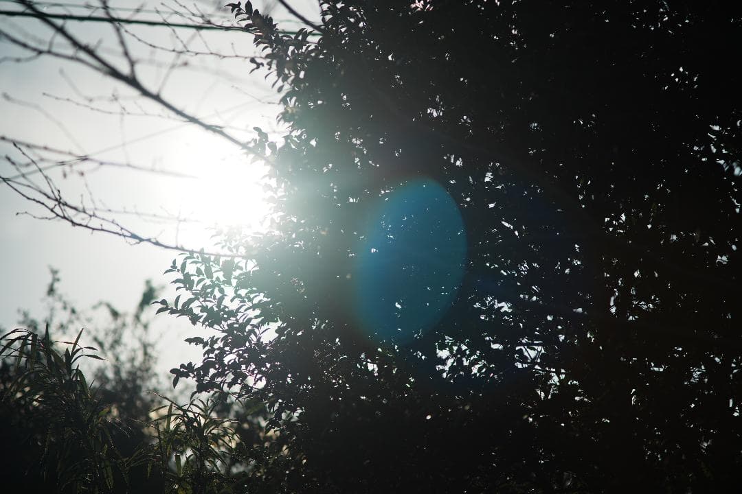 【整備＆テスト済】Canon New FD 135mm f2.8 054