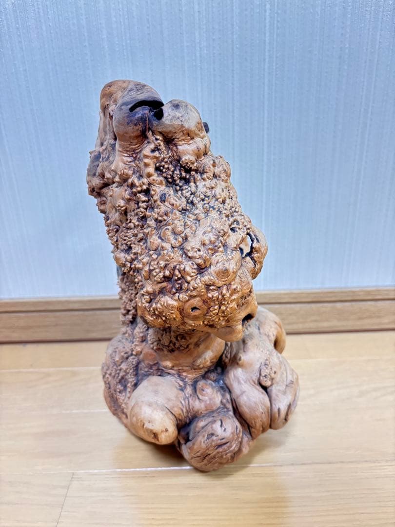流木 天然木 オブジェ 希少