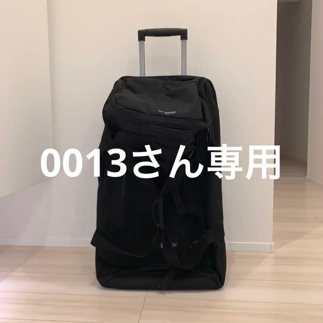 パタゴニアキャリー