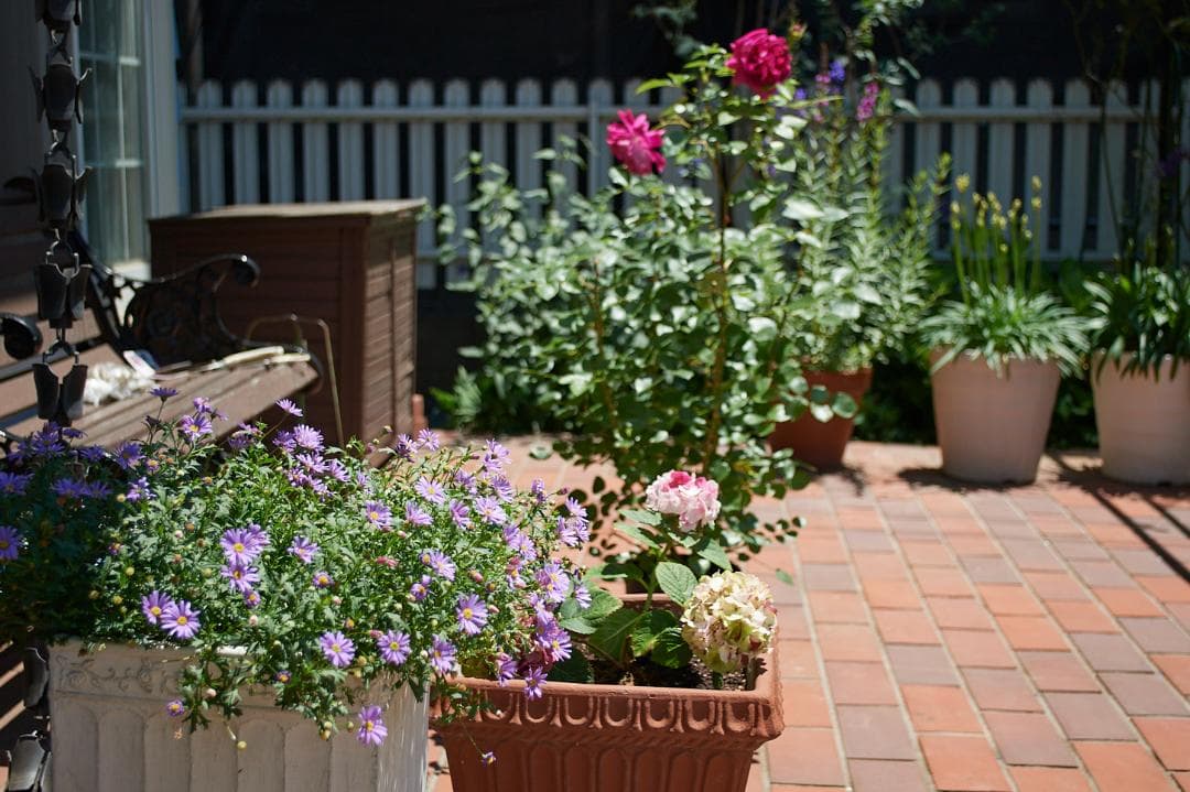 レンズ(ズーム) Nikon AF-S DX 18-55 f3.5-5.6G VR #L96