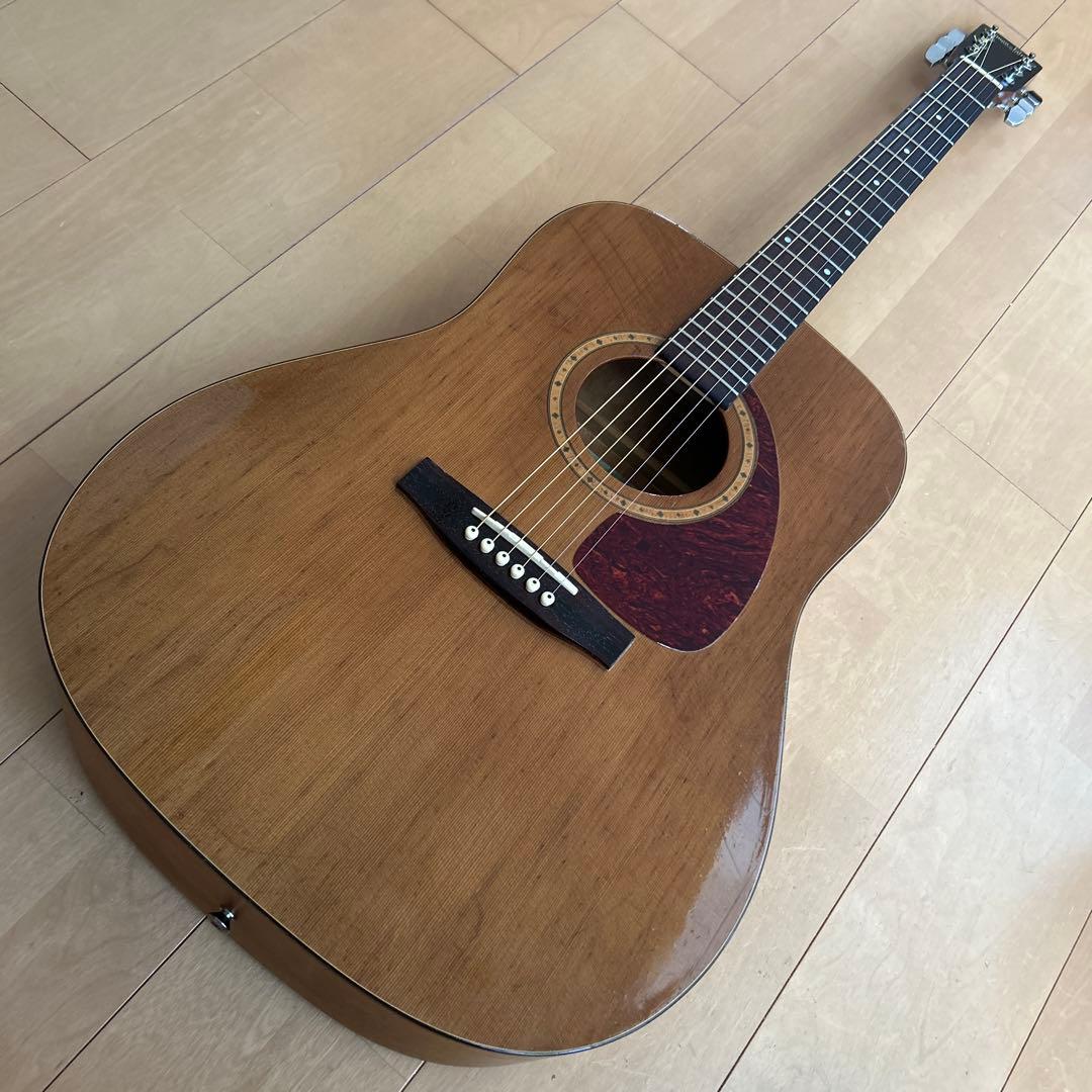 サイモン&パトリック モデル S&P6 シダー トップ単板