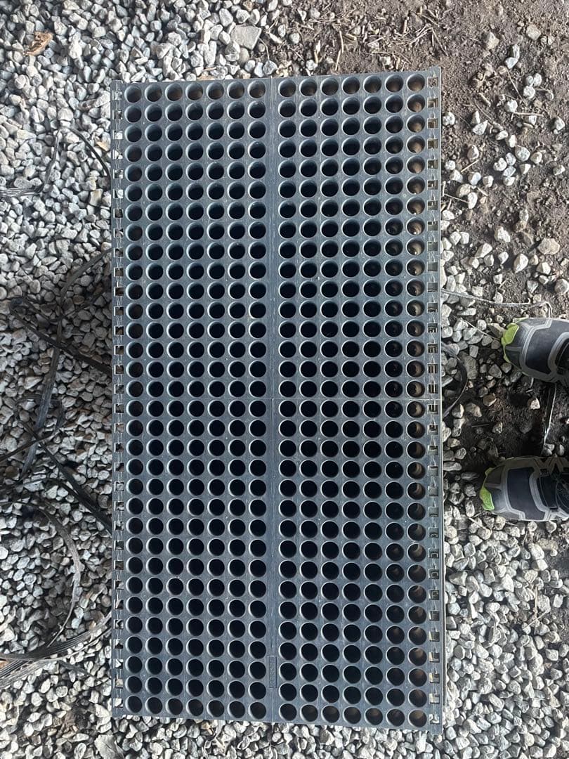 専用育苗箱 みのる ポットシステム