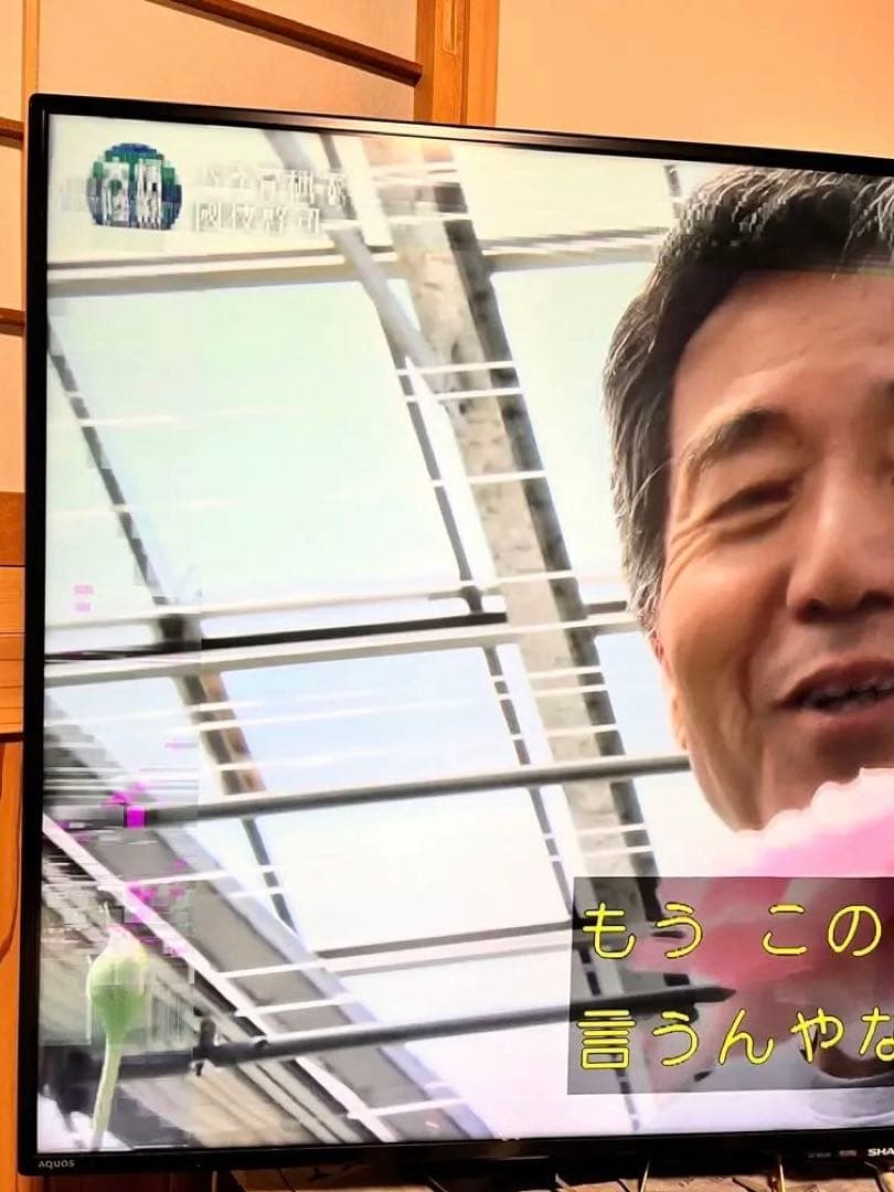 Osushi 【ジャンク品】SHARP　AQUOS　LC-50U45