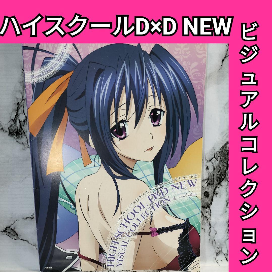 ハイスクールD×D NEW　ビジュアルコレクション 下巻　メガミマガジン