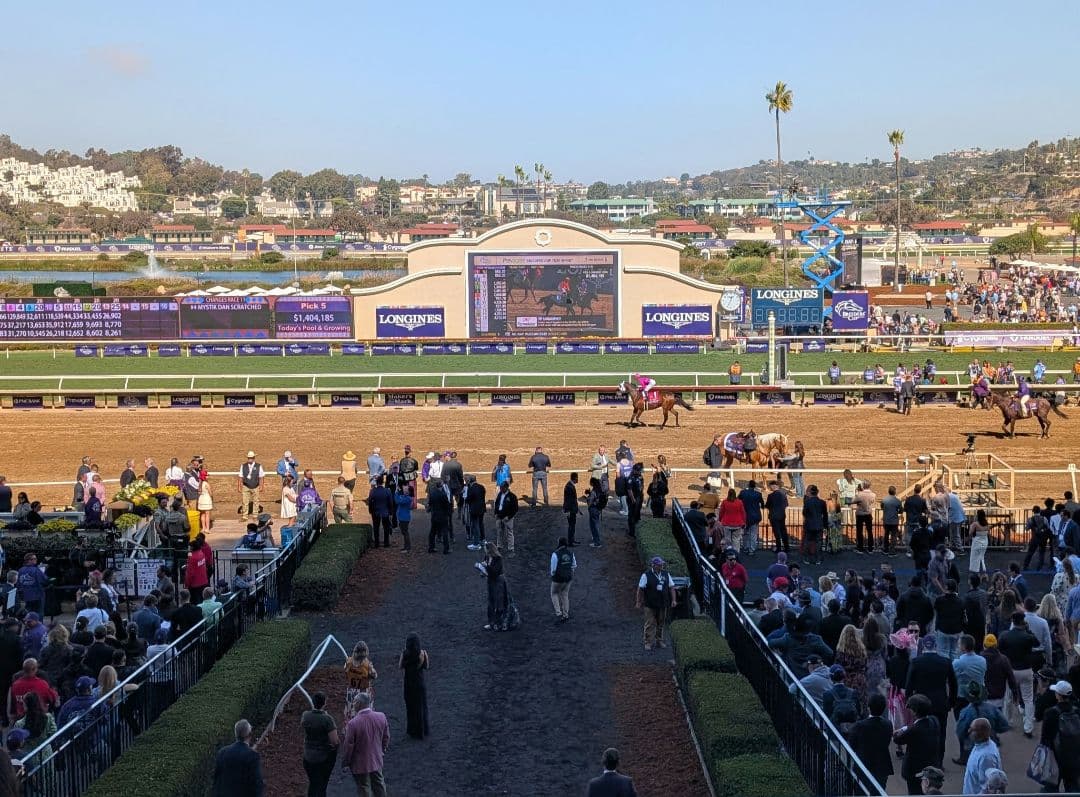 フォーエバーヤング BCクラシック2025 単勝馬券 デルマー競馬場