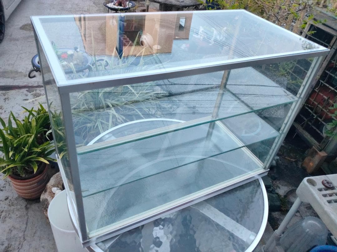 陳列ガラスショーケース☆w600x310x435☆棚板２枚