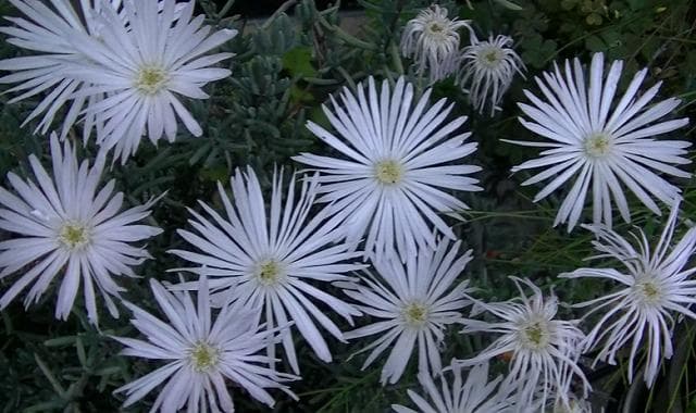 JVC ビデオカメラ GZ-HM177-S ACアダプター付 中古品 動作確認済