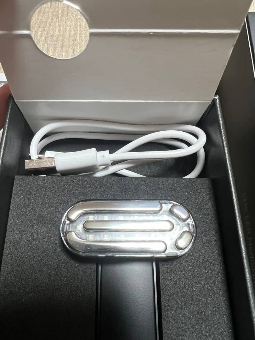 DISM EMS EEP 美顔器