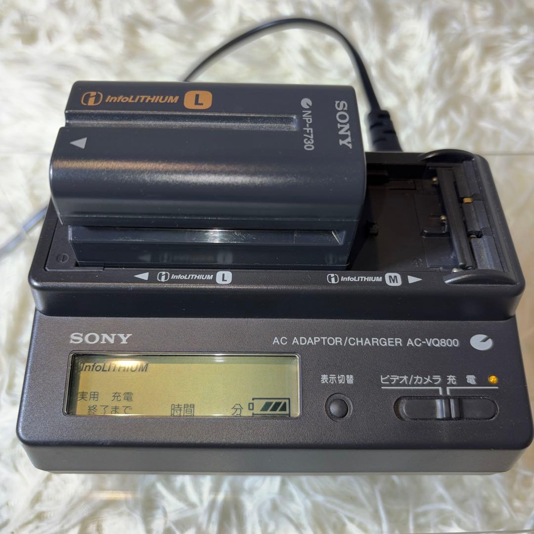 【美品】SONY Handycam DCR-VX1000 付属品多数
