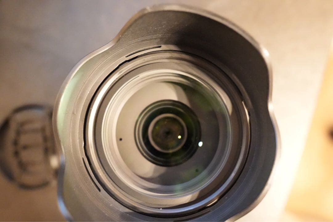 28-70mm f2.8 dg dn eマウント