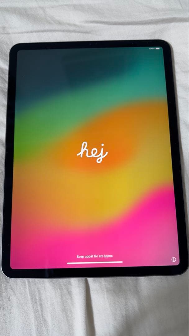 iPad Pro 11インチ 第2世代 256GB アップルペンシル2付