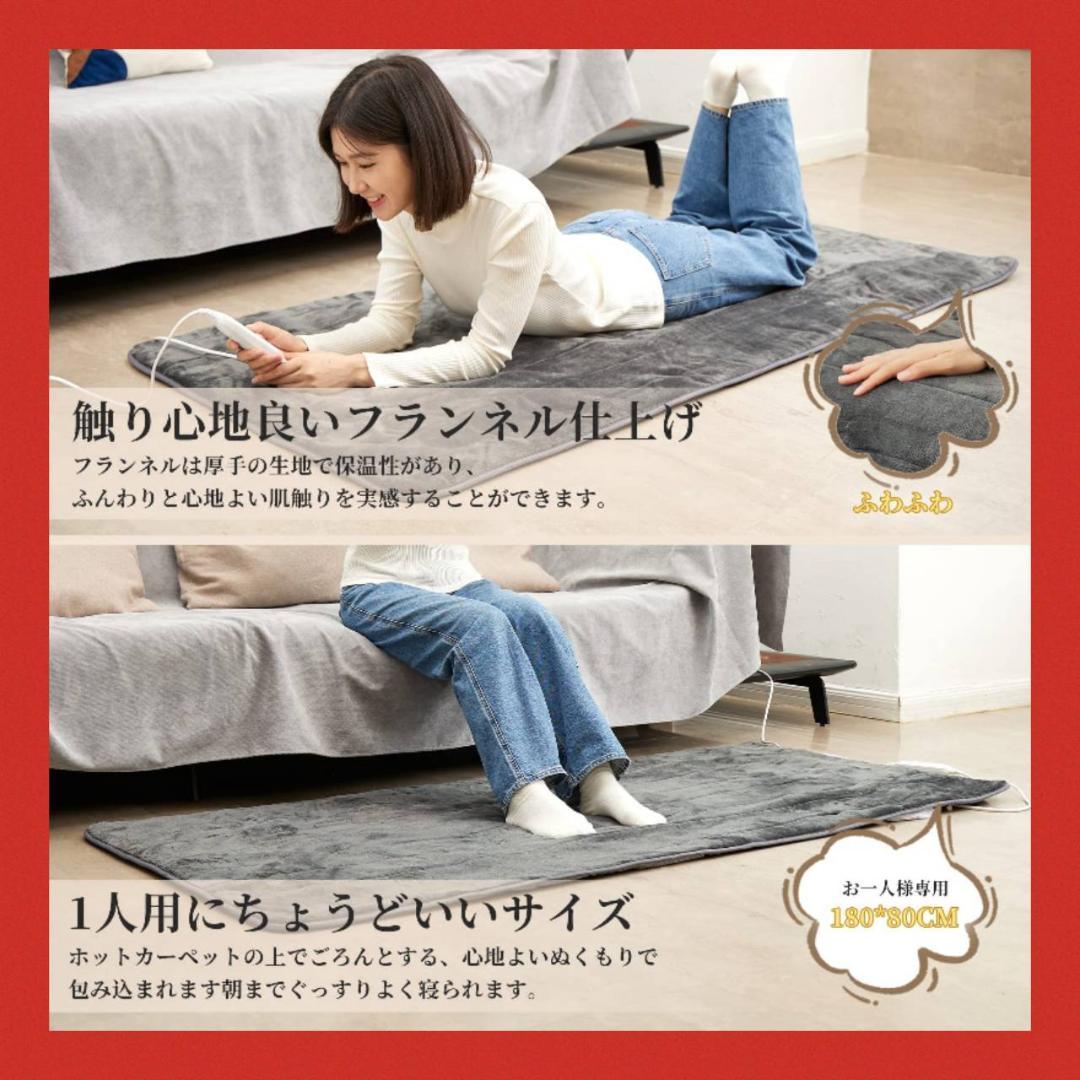 丸洗い可能なあったか電気毛布 充実の機能