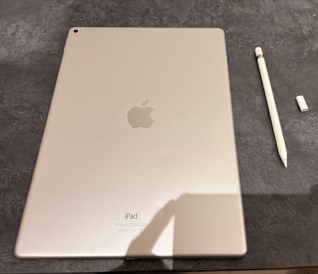 s*a様 Apple iPad Pro 12.9インチ 256GB