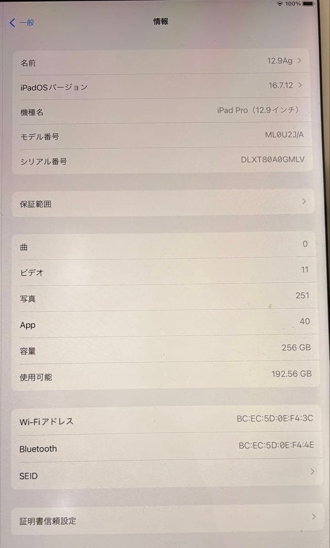 s*a様 Apple iPad Pro 12.9インチ 256GB