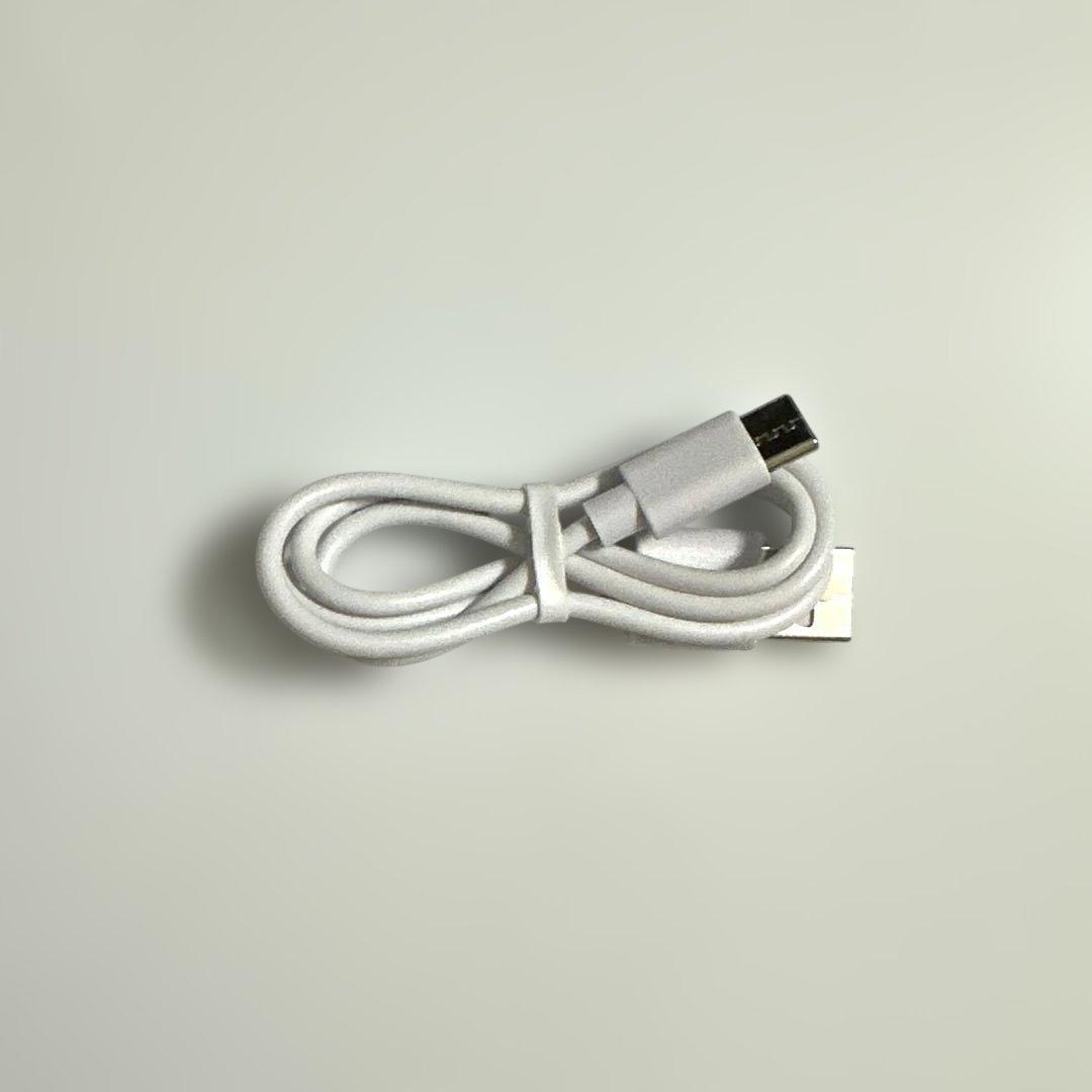 未使用 フェスティノ 充電式 EMS ヘッドスパ プレミア