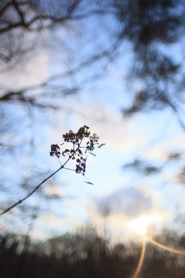 《希少》KINO PRECISION KIRON 28mm F2 MC【良品】