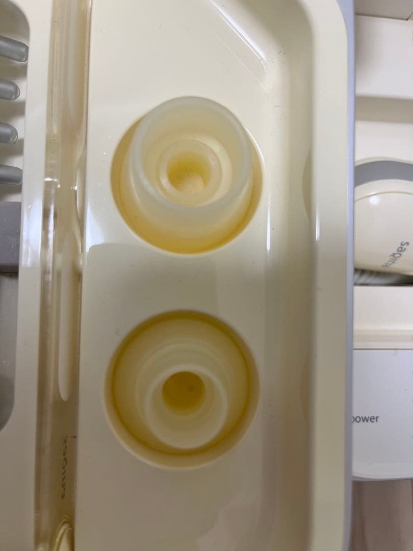 美顔器 【サキナ】ビジュー　付属品、説明書あり