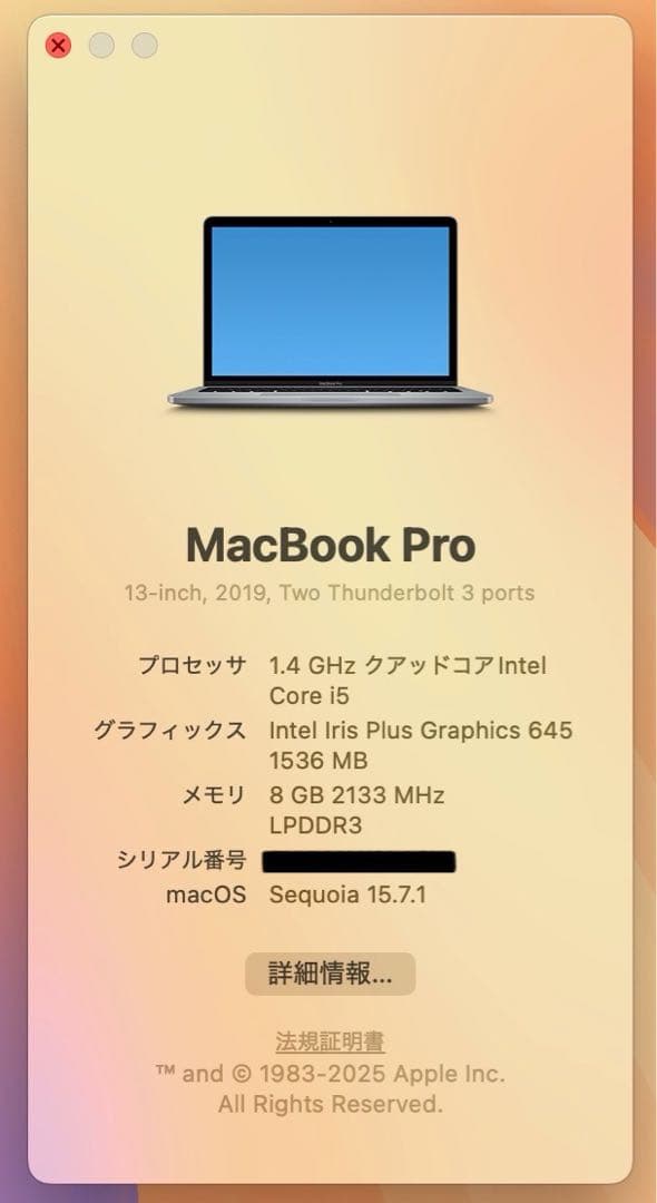 【即日発送】MacbookPRO2019 スペースグレー