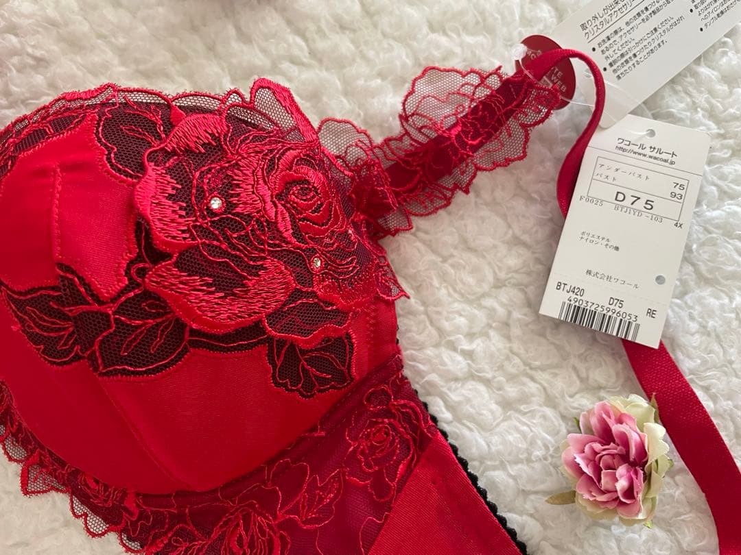 専用 サルート 旧20G D75/M ムーランルージュ RE