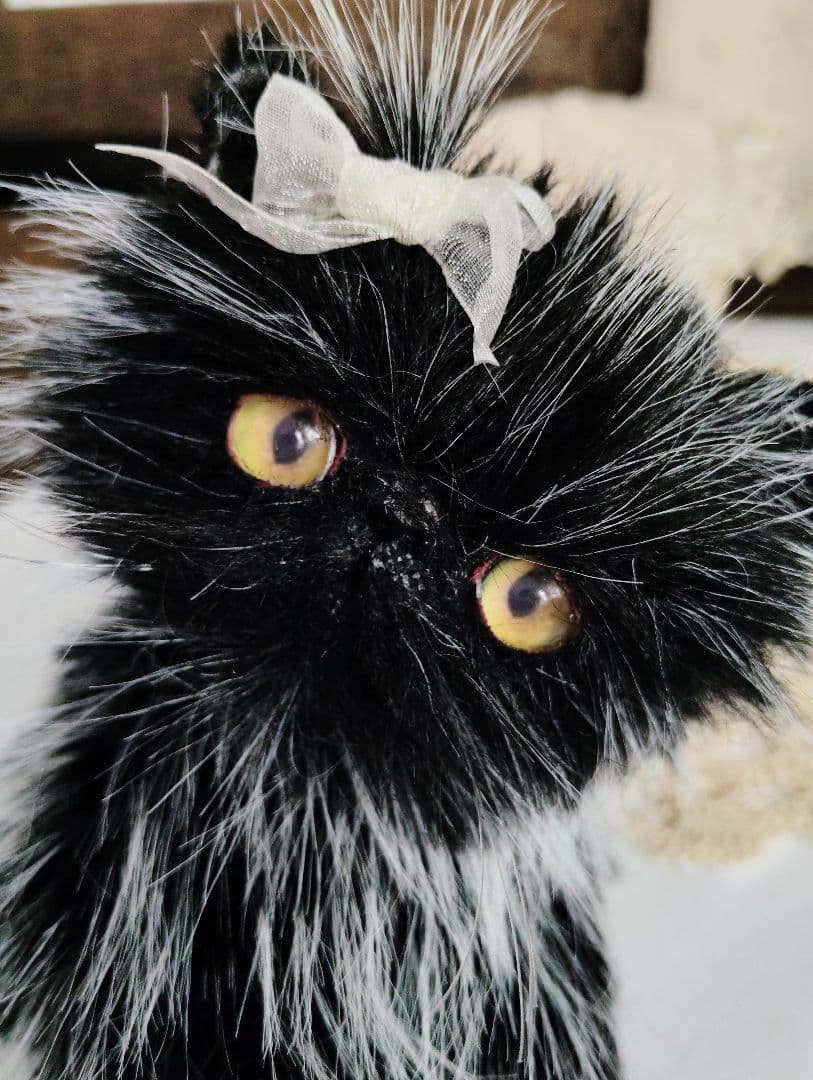 幼猫♡黒猫子猫ゴマちゃん♡アートドール♡ぬいぐるみ♡