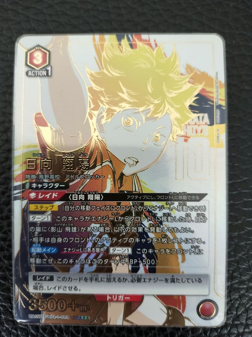 UNION ARINA　ハイキュー　日向翔陽 パラレル★3