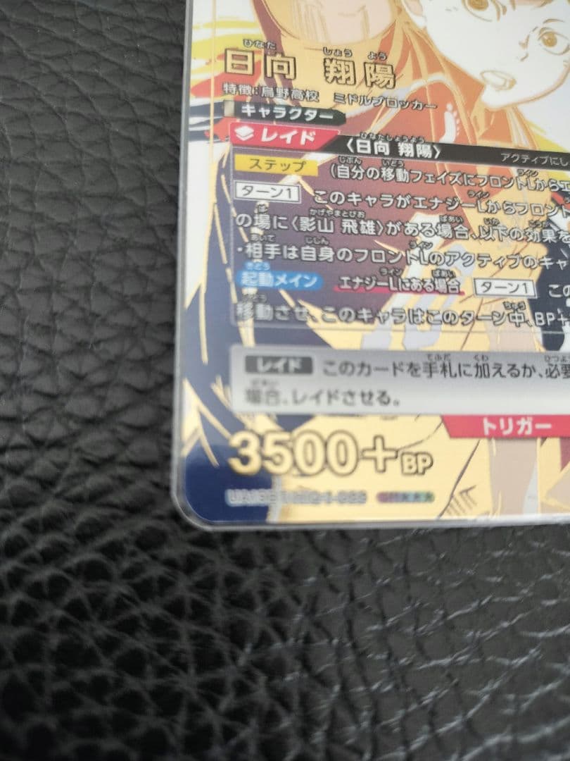 UNION ARINA　ハイキュー　日向翔陽 パラレル★3