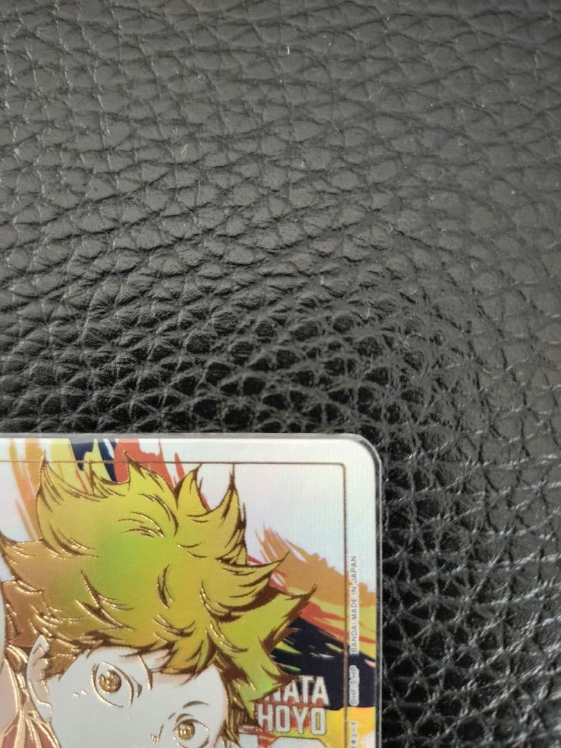 UNION ARINA　ハイキュー　日向翔陽 パラレル★3