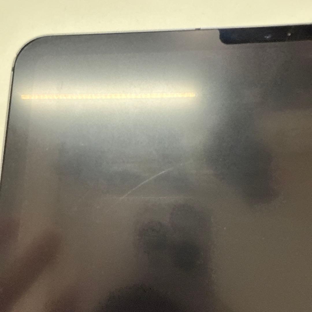 iPad Pro 11インチ 256GB wifi cellular simフリ