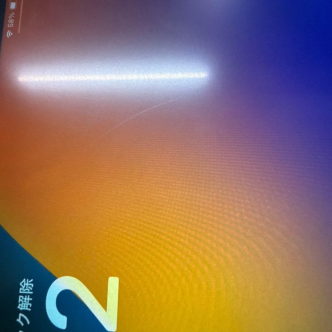 iPad Pro 11インチ 256GB wifi cellular simフリ