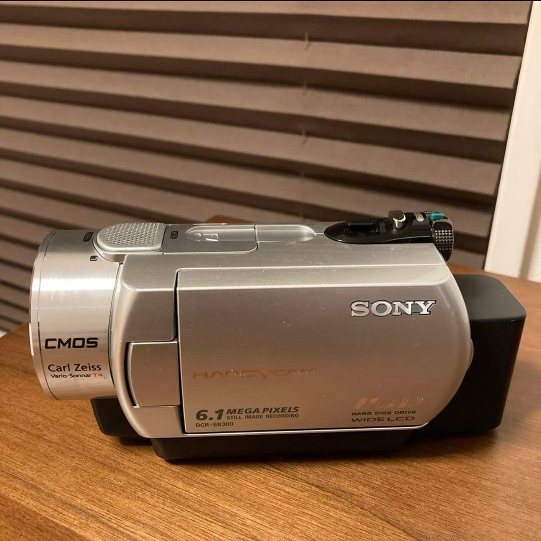 SONY ソニー ハンディカム ビデオカメラ DCR-SR300