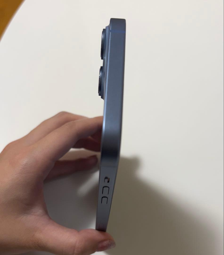 海外版Apple iPhone 14 plus 256GB バッテリー88%