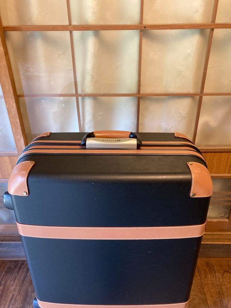 エースプロテカGENIO TL 80L◆