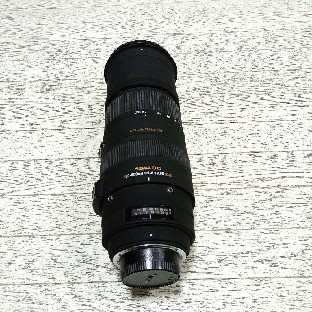 値下げ❣SIGMA DG150-500mm 1:5-6.3 APO HSMニコン