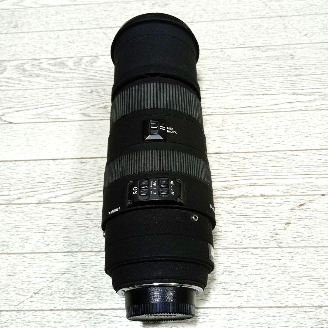 値下げ❣SIGMA DG150-500mm 1:5-6.3 APO HSMニコン