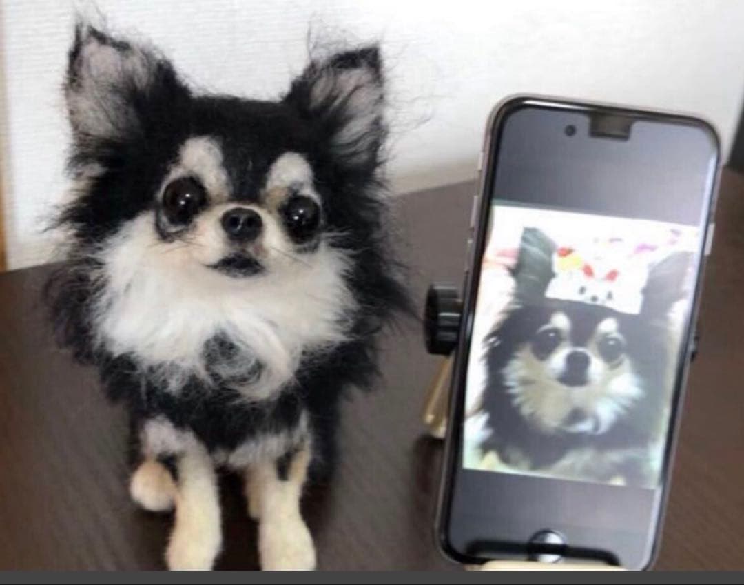 p*o様 わたわたペット　わんこ限定　分身の術　中サイズ　(20センチ程)羊毛フ