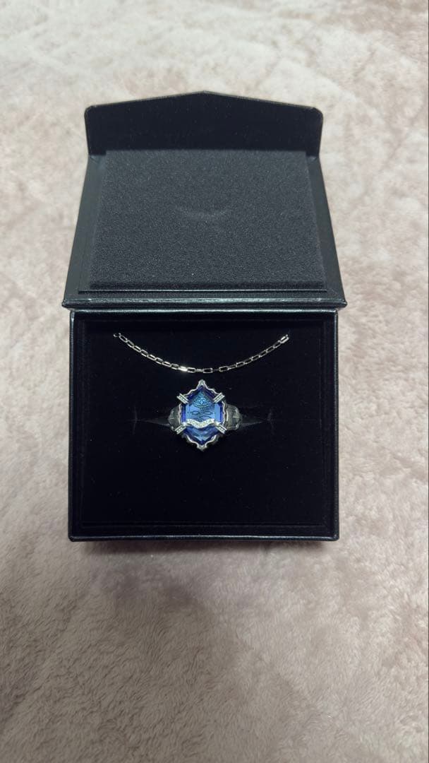 家庭教師ヒットマンREBORN! 霧のニューボンゴレリング 25号