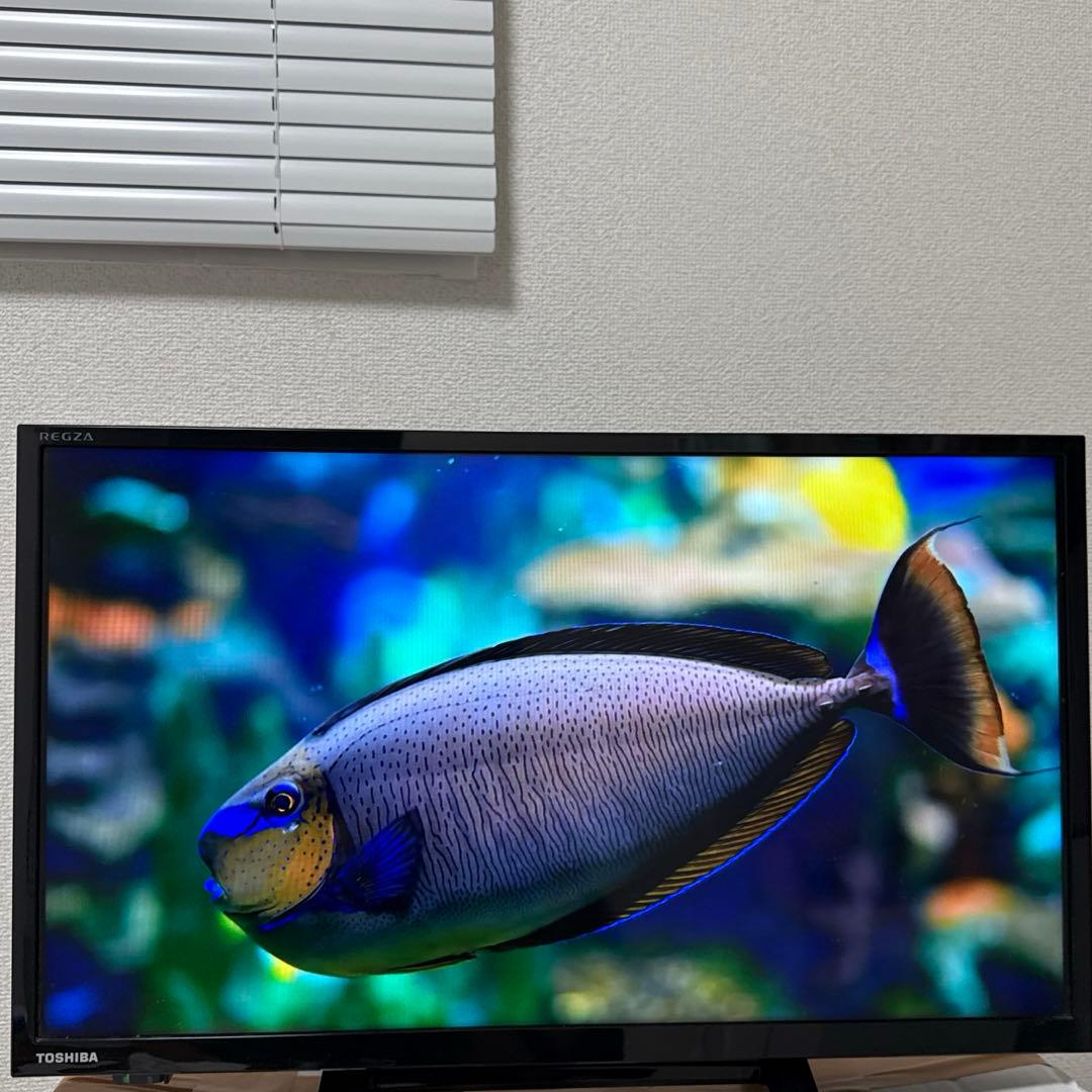 TOSHIBA テレビ&リモコン