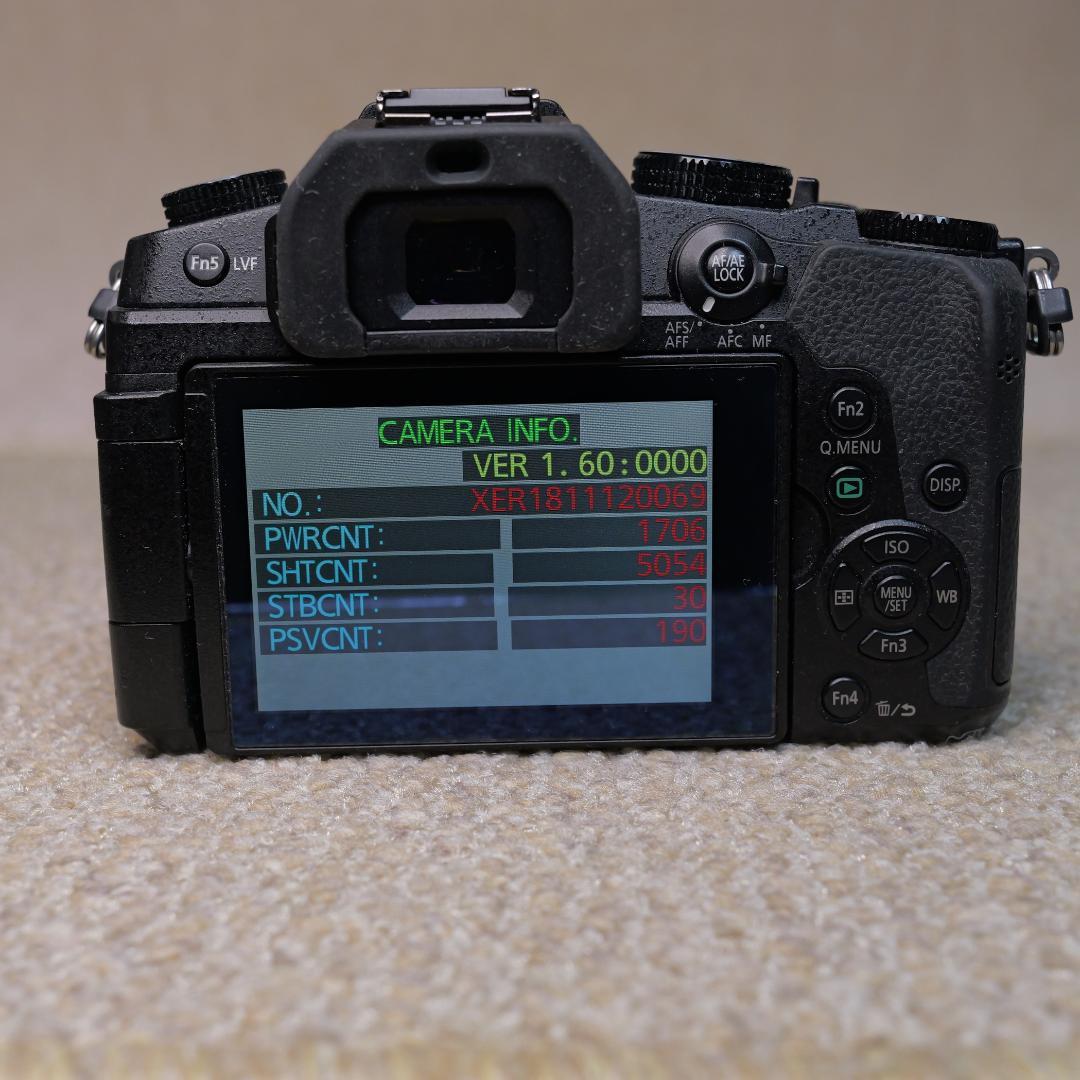 【1247】Panasonic LUMIX DMC-G8 箱付き美品