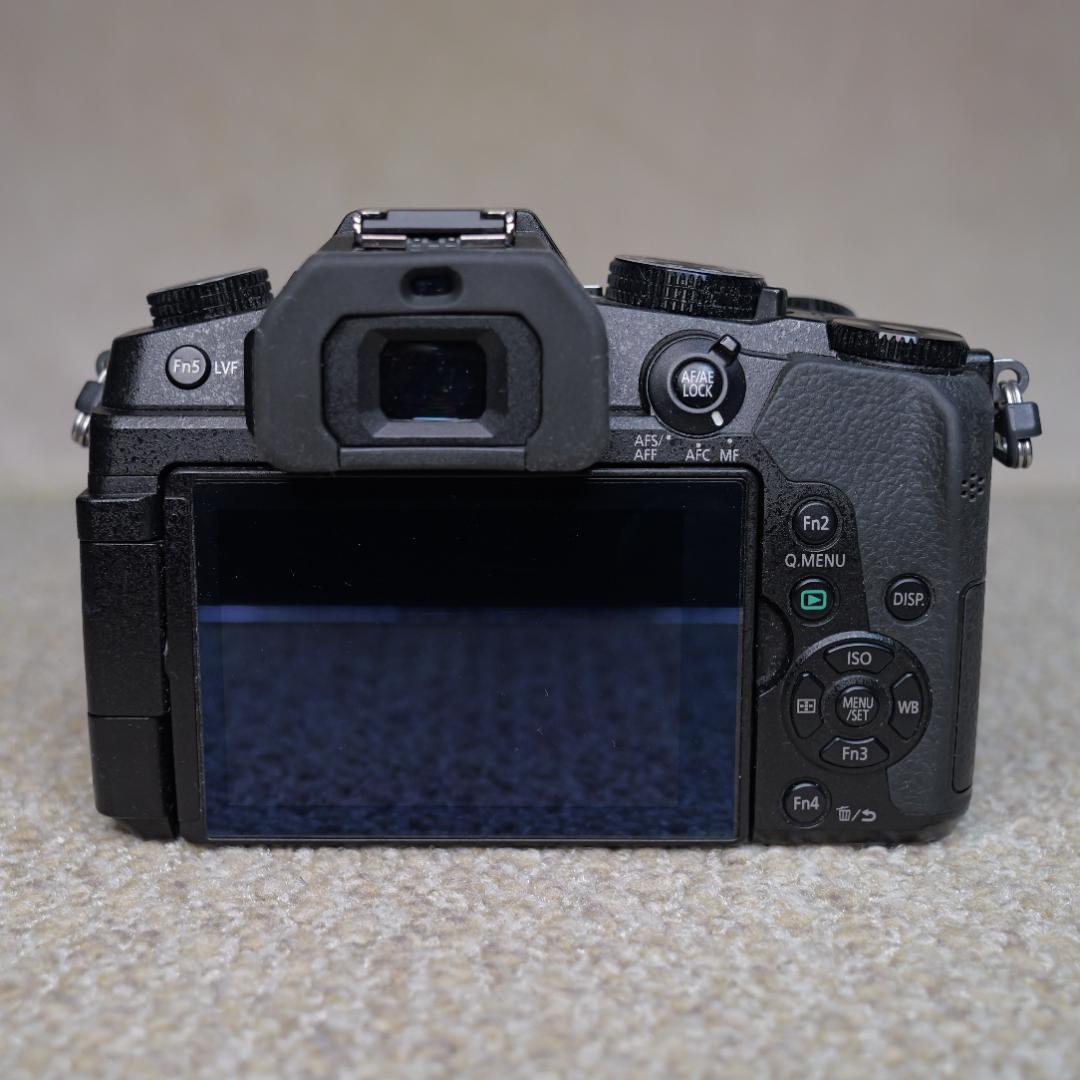 【1247】Panasonic LUMIX DMC-G8 箱付き美品